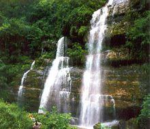 黃連河