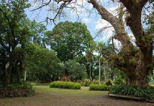 德斯登花園