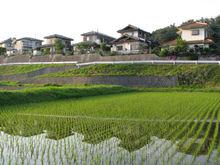 日本農村景色