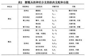 單神經病與神經叢神經病