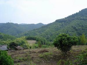 蓮洞國家森林公園