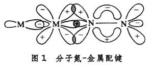 分子氮絡合物