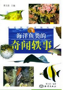 海洋魚類的奇聞鐵事