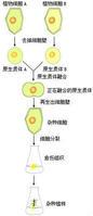 生物選修三知識點總結