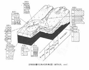 辮狀三角洲沉積