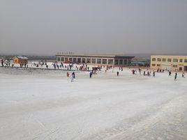 金山滑雪場[山東省煙臺萊陽丁字灣金山滑雪場]