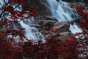 東珠山