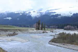 奎屯河（Kuytun River）位於天山北麓，又名扎爾馬圖水。發源於新疆烏蘇市境內的依連哈比爾尕山。流經獨山子後向北，經奎屯大橋、九間樓、皇宮、車排子、蘇興灘，與四棵樹河匯合。“奎屯”是蒙古語，意思是寒冷。奎屯河是獨山子、烏蘇市、兵團農七師的主要水源。