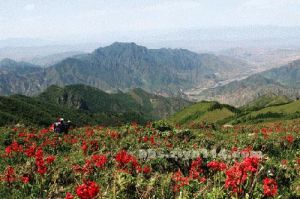 東靈山風光