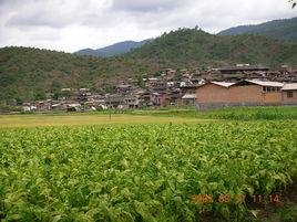 加禾村[貴州劍川縣柳川鎮下轄村]