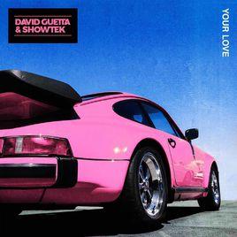 Your Love[David Guetta/Showtek合作單曲]