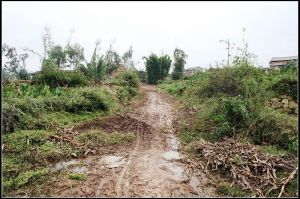 長坡嶺自然村