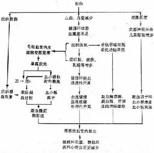 產科播散性血管內凝血