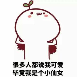 小仙女[網路用語]