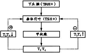 反饋作用