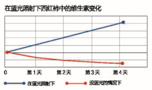 BEKO全效藍光養鮮冰櫃