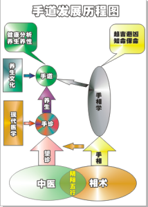 中醫手診手道關係圖示