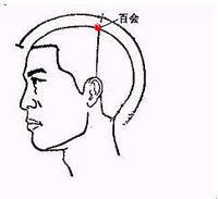 百會穴[百會穴]