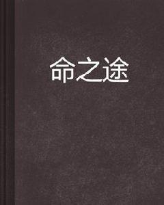 命之途[沙舞兵401著作小說]