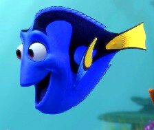 dory