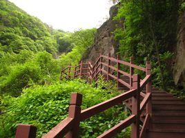 九峰山森林公園[河南汝州公園]