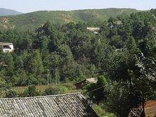 小新村[雲南省祿勸縣轉龍鎮下轄村]