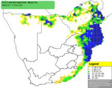黃胸嬌鶯在南非的出現情況。