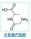 甘氨醯丙氨酸