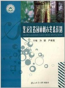 黑龍江省園林樹木冬態識別