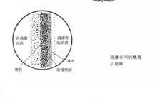 助濾劑作用示意圖