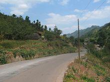 進村道路