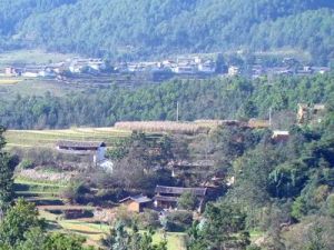 東山坡村