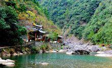 銅鈴山森林公園