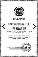 2012中國地板十大領袖品牌