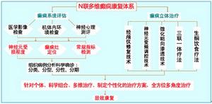 N聯多維癲癇康復體系