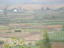 甸尾村[雲南省尋甸縣柯渡鎮甸尾村]