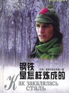 奧斯特洛夫斯基[蘇聯作家、《鋼鐵是怎樣煉成的》作者]