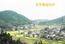 鄉村概貌