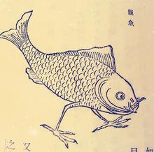 《山海經》中有類似動物記載音譯“爪（zhao）魚”