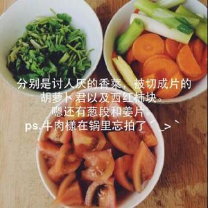 西紅柿胡蘿蔔牛肉湯