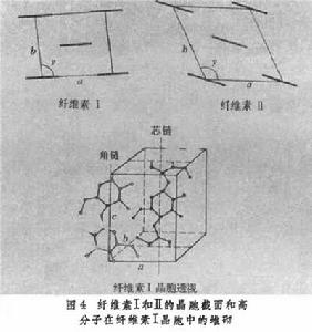 纖維素結構