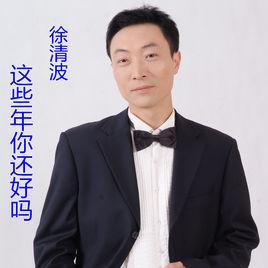 這些年你還好嗎[徐清波演唱歌曲]