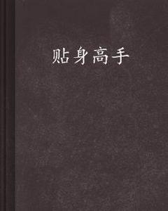 貼身高手[都市生活類型的網路小說]