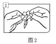 複方次沒食子酸鉍栓Ⅱ