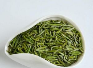 仙人掌茶