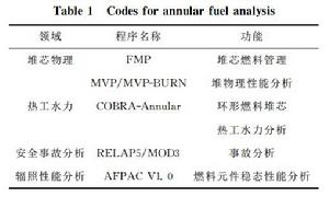 表1 環形燃料計算機分析程式