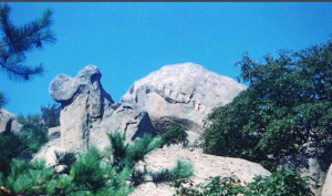 魯山臥駝峰