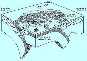 台灣新生代溝弧系