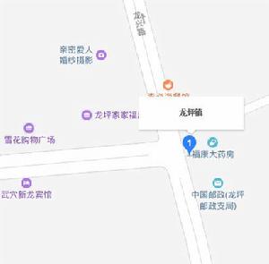 龍坪鎮[湖北省黃岡市武穴市建始縣龍坪鄉]