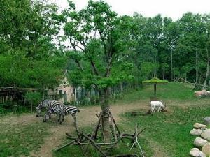 上海市動物園